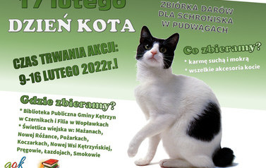 Dzień Kota 1