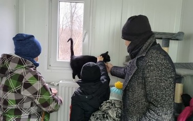 Miauuuu&hellip;. z wizytą u kotk&oacute;w w schronisku w Pudwągach 1