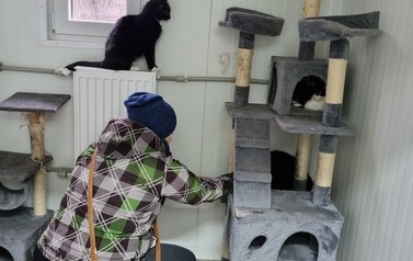 Miauuuu&hellip;. z wizytą u kotk&oacute;w w schronisku w Pudwągach 2