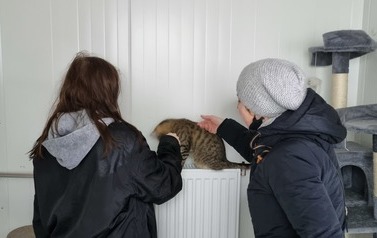 Miauuuu&hellip;. z wizytą u kotk&oacute;w w schronisku w Pudwągach 5