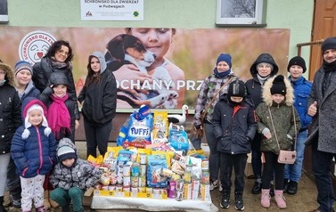 Miauuuu&hellip;. z wizytą u kotk&oacute;w w schronisku w Pudwągach 13