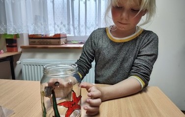 Czerwiec w Pręgowie 8