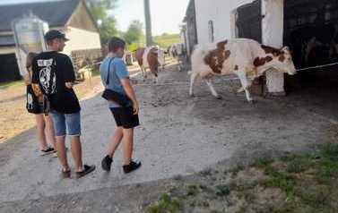 IMG-20220804-WA0014