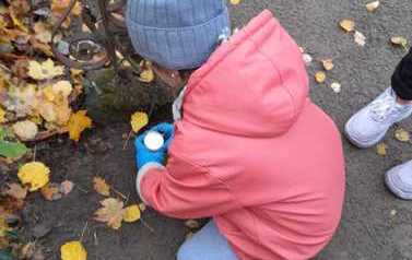 IMG-20221103-WA0023