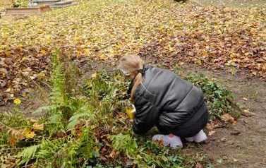 IMG-20221103-WA0022