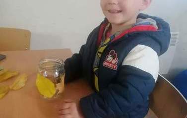 FB_IMG_1667322359915