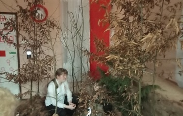 IMG20221110172921