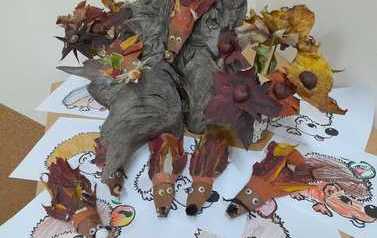 IMG-20221204-WA0026
