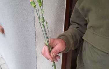 IMG-20221204-WA0024