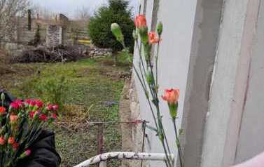 IMG-20221204-WA0022