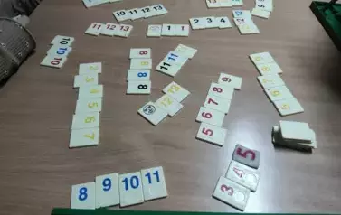 IMG_20240220_110519902_copy_2048x1536