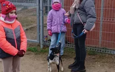 Luty w Biedaszkach Małych 7