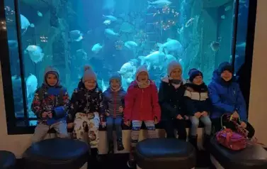 421926263_390665826783525_4206379094914369628_n