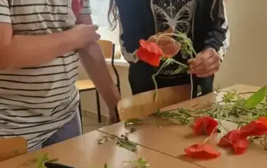 515586437_2455422461484165_7310142777702182252_n