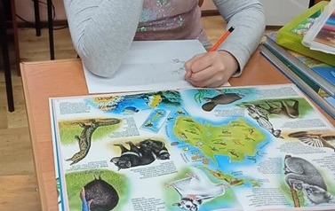 Styczeń w Dziupli 17