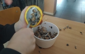 Styczniowe dni w świetlicy w Pręgowie 11