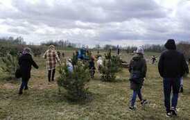 Poszukiwanie Wielkanocnych jajeczek.... 14