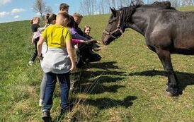 Kwiecień w Świetlicy Wiejskiej w Mażanach 52
