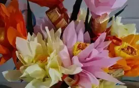 475833039_122173251866259578_1362085600750886884_n