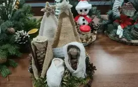 IMG_20231218_083132622_copy_2048x1536