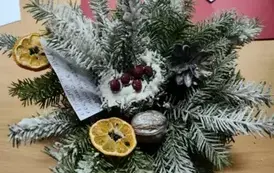 IMG_20231218_081326162_copy_2048x1536