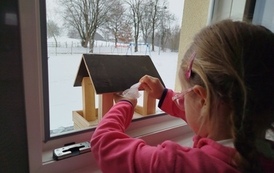 IMG_20260127_145700