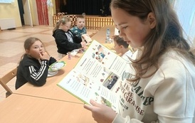 IMG20260512152351