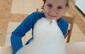 IMG20260708154027